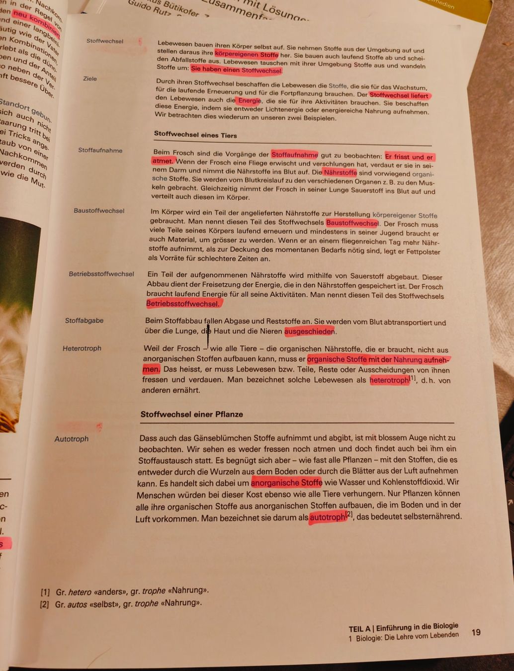 Libri: Passerelle Lehrbücher Biologie - Compendio – Usato da Dulliken venduto da Chrisi70 1
