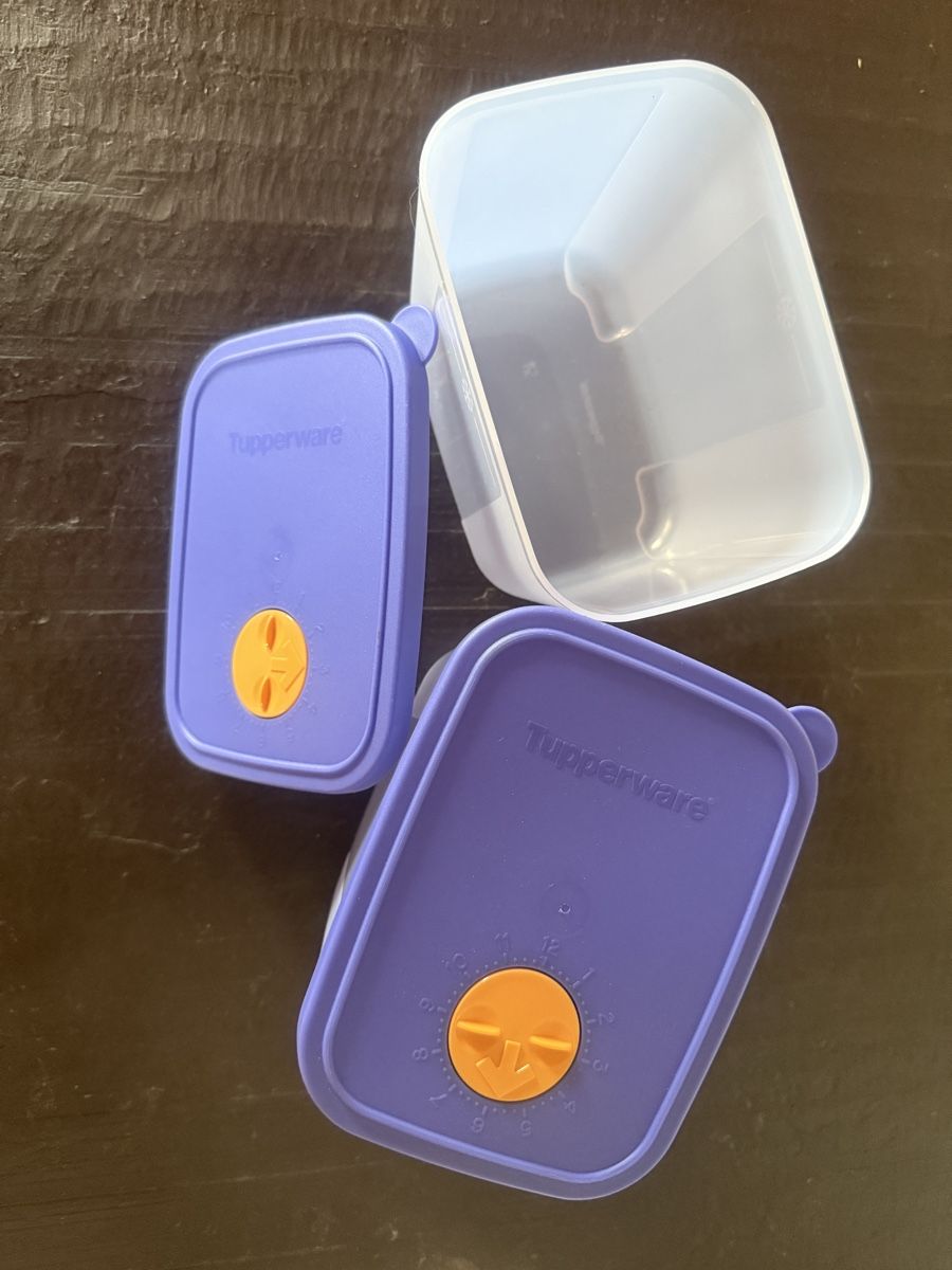Tupperware Contenitori & Simili: Tupperware Gefrierbehälter – Nuovo (secondo la descrizione) da Flumserberg Saxli venduto da delfinli67 1
