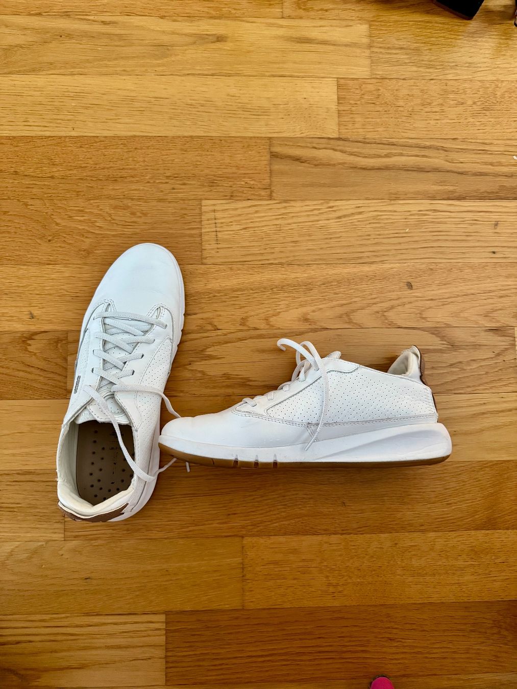 Geox Scarpe da donna: GEOX Aerantis Sneakers – Nuovo (secondo la descrizione) da Wettingen venduto da AskaB 1