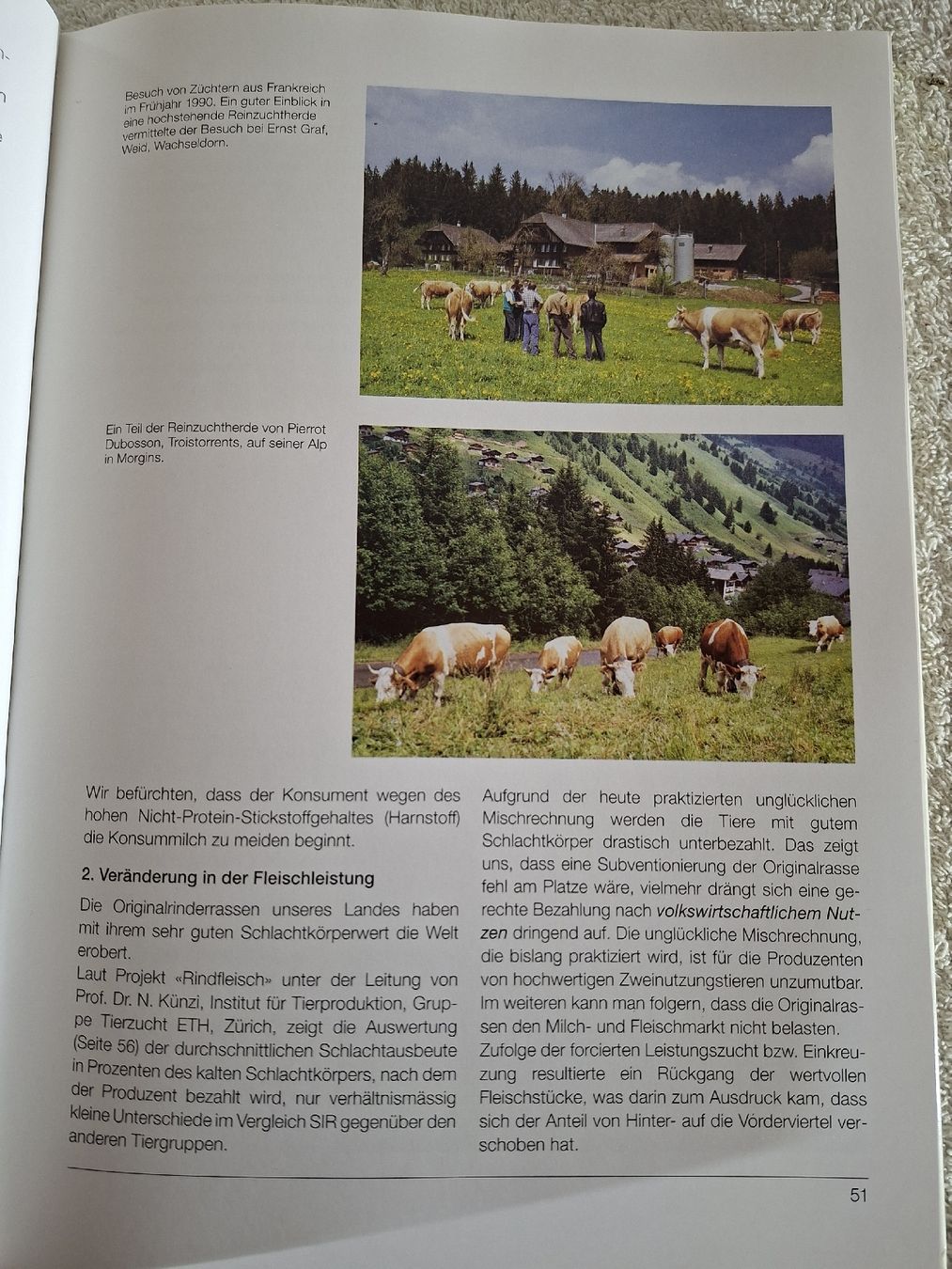 Cloches & sonnailles: Das Simmentaler Fleckvieh – D'occasion à Grindelwald par carro5 3
