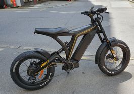 VSETT Eagle E-Bike, neuwertig, nur 35 km gefahren