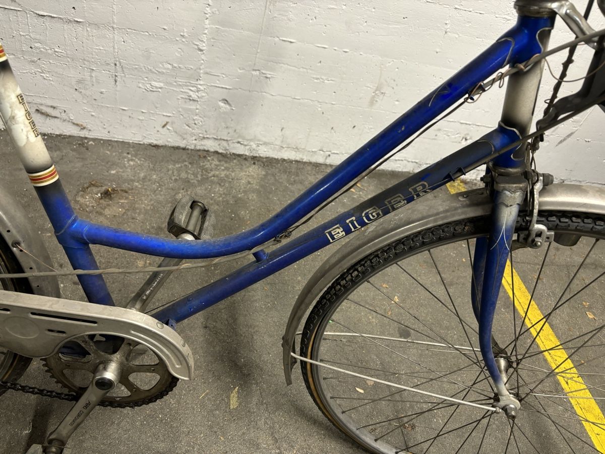 Biciclette: Vintage Eiger Damen Velo – Difettoso da Ostermundigen venduto da Mcone 1