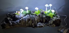 Lampe aus Korkholz mit Pilze Dekoration