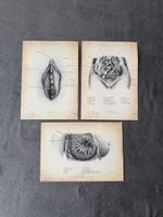 Anatomische ArtPrinte Gemälde Gynäkologie