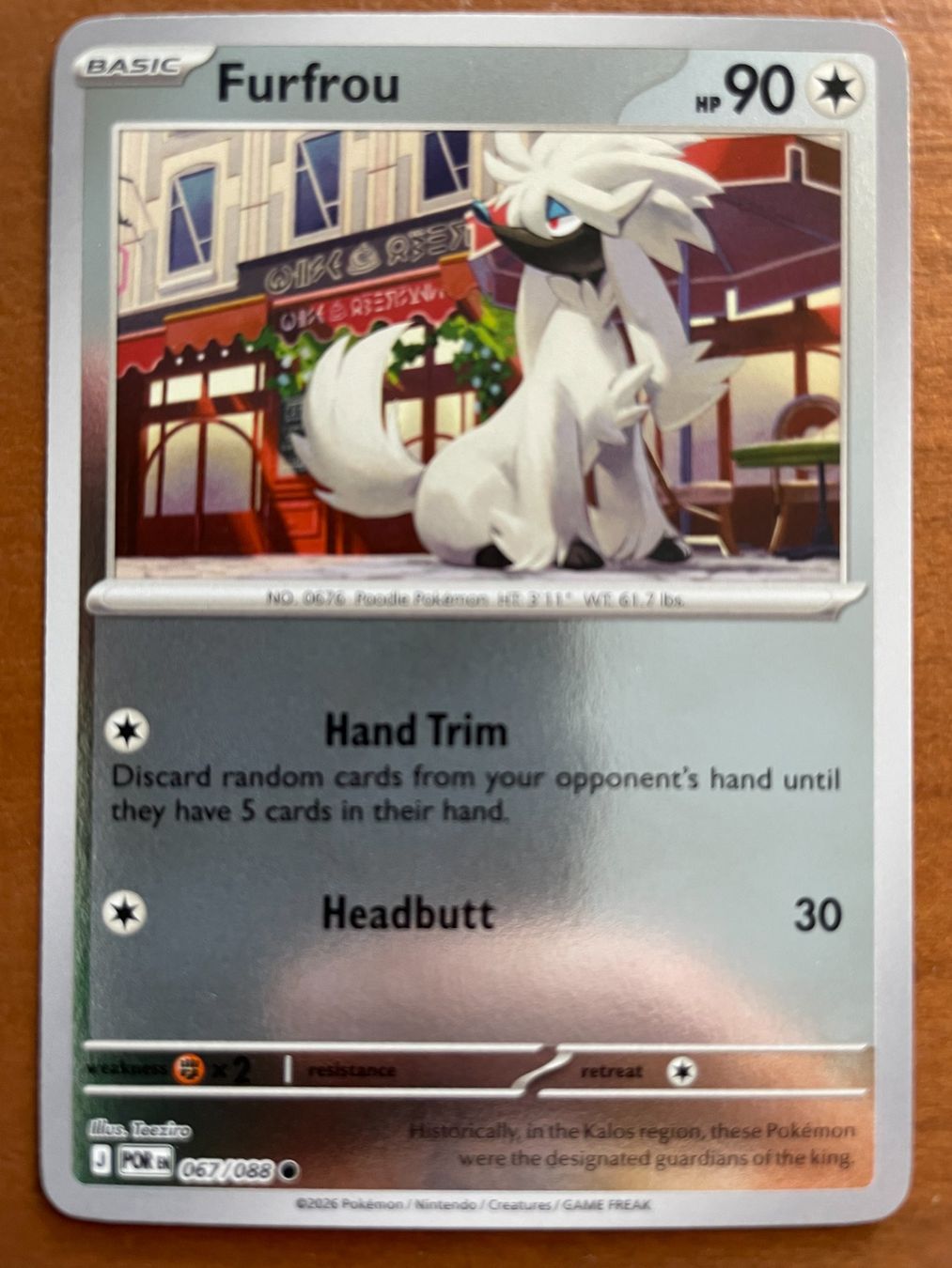 Pokémon Carte collezionabili: Pokemon Furfrou Reverse (Versand gratis) – Nuovo (secondo la descrizione) da Chur venduto da Angerson