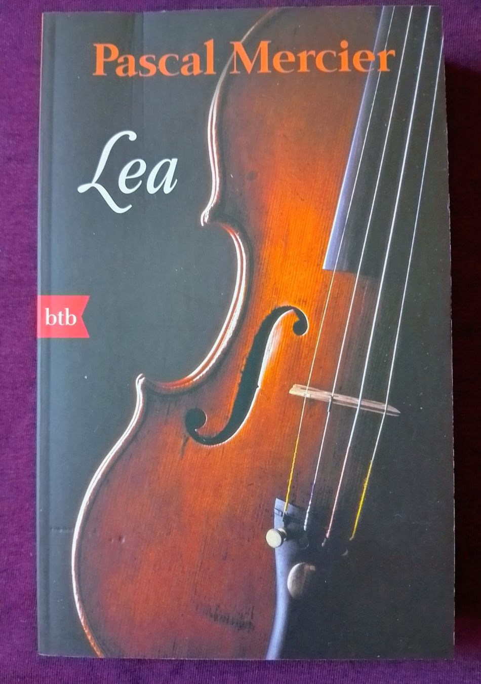 Libri: Pascal Merrcier : LEA. Novelle.  Peter Bieri – Usato da Zürich venduto da Flitzi2005