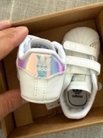 new infant shoes - adidas & vans