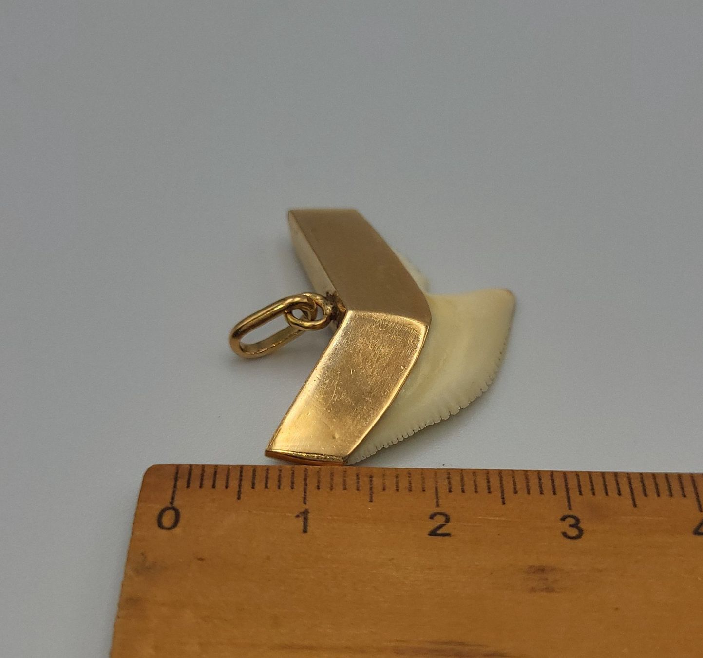 Anhänger: Gold 585 Haizahn Anhänger – Gebraucht aus Wald ZH von Dasilver 2