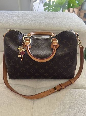 Louis Vuitton Speedy 30, Monogram Canvas, Top Zustand!