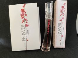 Miniatures Kenzo Flower Ikebana
