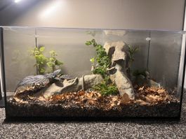 Terrarium 60x30x40