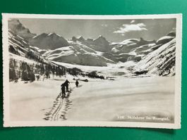 Skifahrer im Rosegtal