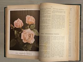 🔥JOURNAL D'HORTICULTURE ET DE VITICULTURE SUISSE 1907-1910
