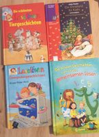 4 LeseLöwen Bücher für Erstleser  📚