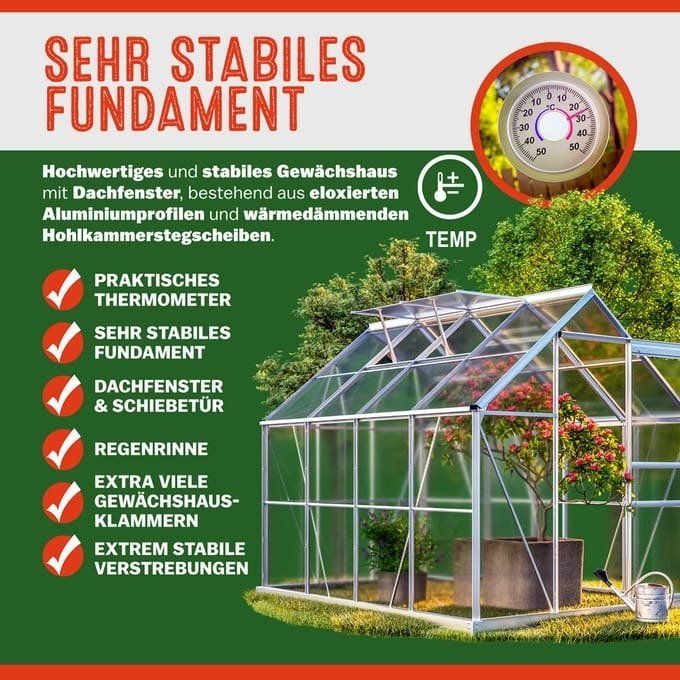 Treibhaus - 250x190x195cm mit Fundament 3