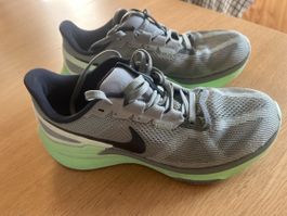 Nike Pegasus Grösse 40