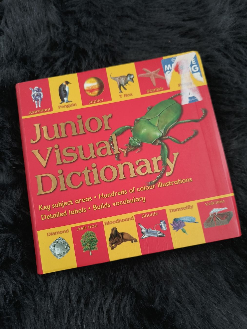 Livres: Junior Visual Dictionary – D'occasion à Dietlikon par Dietlikon_Verkauf