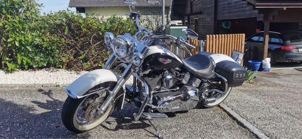 Touring: Harley-Davidson soft tail deluxe – Usato da Liesberg Dorf venduto da cavannii