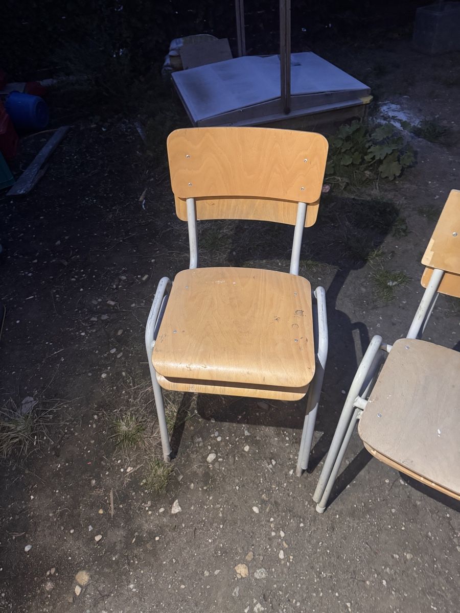 Sedie: Stuhl stapelbar, Buche – Usato da Basel venduto da Stein0233 2