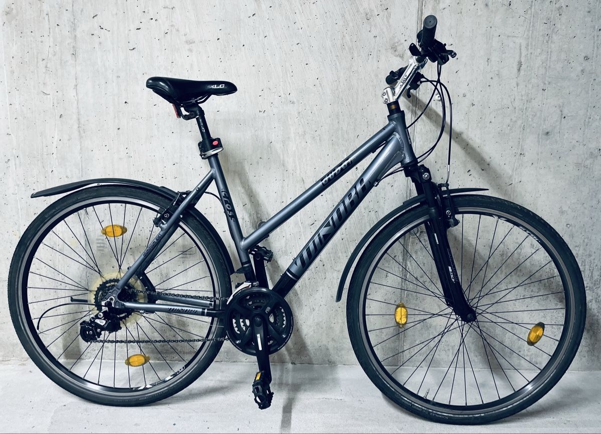 Winora Biciclette: Winora Dubai Damen Velo – Usato da Zürich venduto da Bidon3011