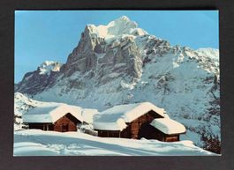 AK Bei Grindelwald