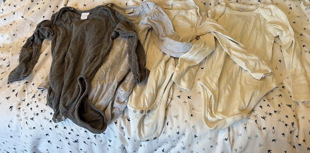 Lotti & Set di vestiti: 4 langarm bodies gr. 86/92 – Usato da Unterengstringen venduto da ste_233