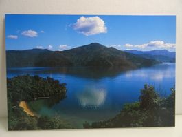 Postkarte Neuseeland Queen Charlotte Sound Marlborough So...
