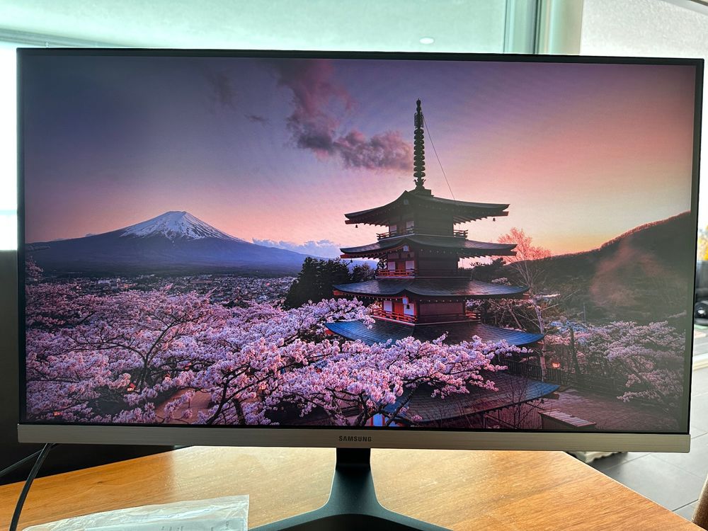Samsung 28 Zoll UHD Monitor LU28R550UQUXEN Kaufen auf Ricardo