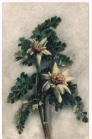 Edelweiss-Glückwunschkarte 1925