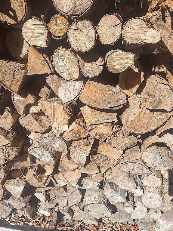 Holzartikel: Brennholz – Neu und originalverpackt aus Wolhusen von Kay211