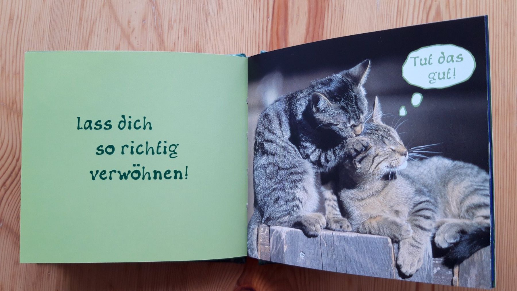Bücher: Geschenkbuch "Einfach mal nichts tun" mit süssen Katzen – Neu (gemäss Beschreibung) aus Neuchâtel von marevecor 2