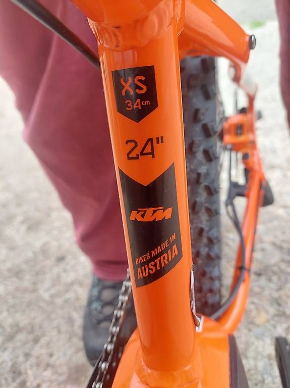 Biciclette: Jugend E-Bike / E-Mountainbike / Elektrovelo – Usato da Lichtensteig venduto da vorhang65 4