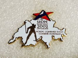 Ansteckpin 91: Sion 2002
