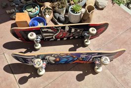 2 Skateboards