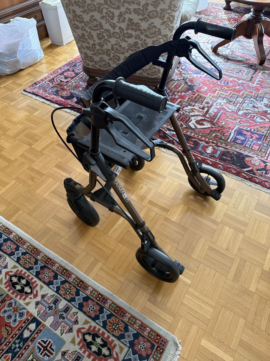 Ausili per la deambulazione: Neuwertiger Rollator Taima zu verkaufen – Nuovo (secondo la descrizione) da Zürich venduto da dotesio1972 1