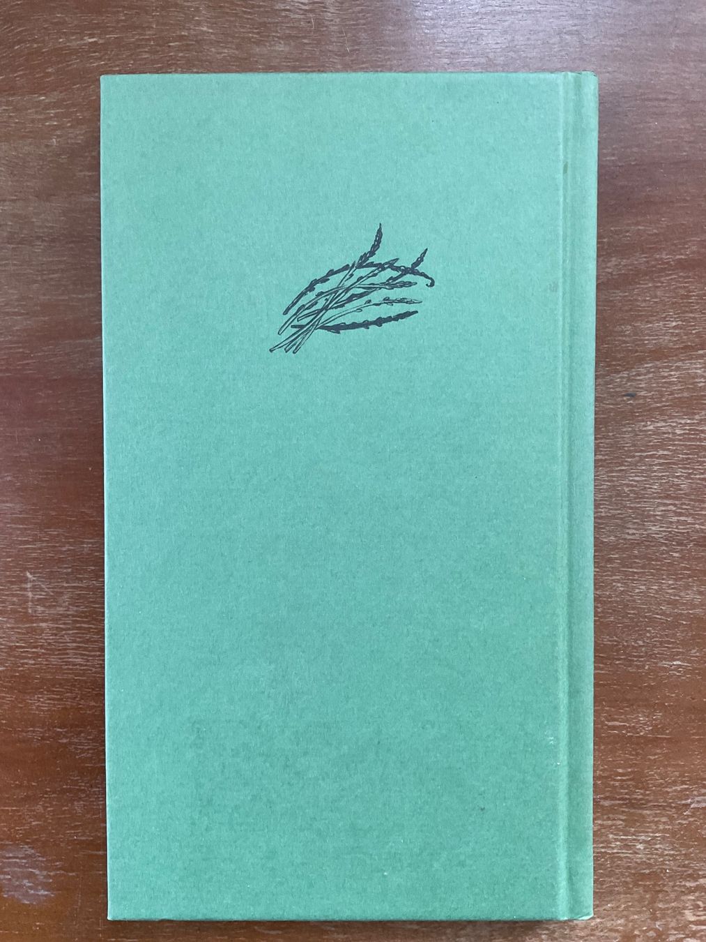 Libri: Ingrid Haslinger; Spargel     * – Usato da Zürich venduto da tol_b7c7 1
