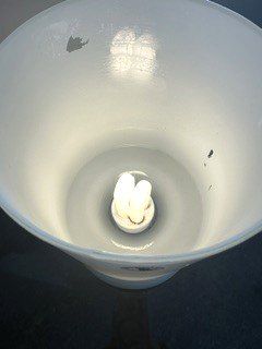 Ikea Lampade: +  GLaslAmPe  + – Usato da Winkel venduto da zeho 1