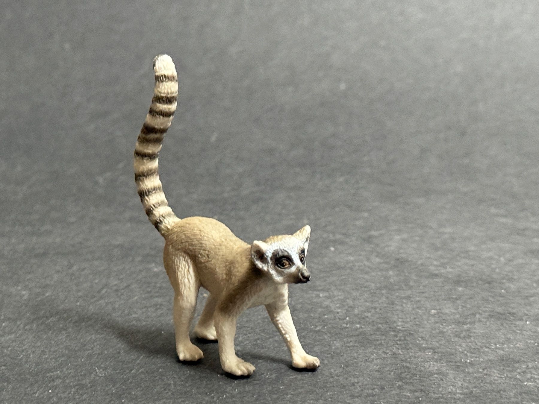 Schleich Statuette: Neu* Schleich Katta Lemur – Nuovo (secondo la descrizione) da Ennetbaden venduto da mapa05 1