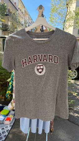 T-Shirt Champion Harvard grau Grösse M
