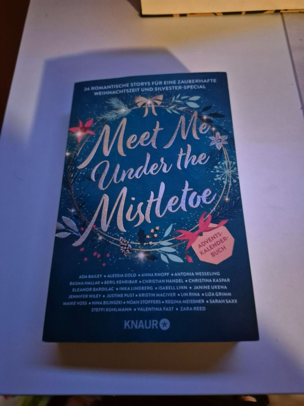 Libri: Adventskalender-Buch: "Meet Me Under The Mistletoe" – Usato da Interlaken venduto da cri_d9sz