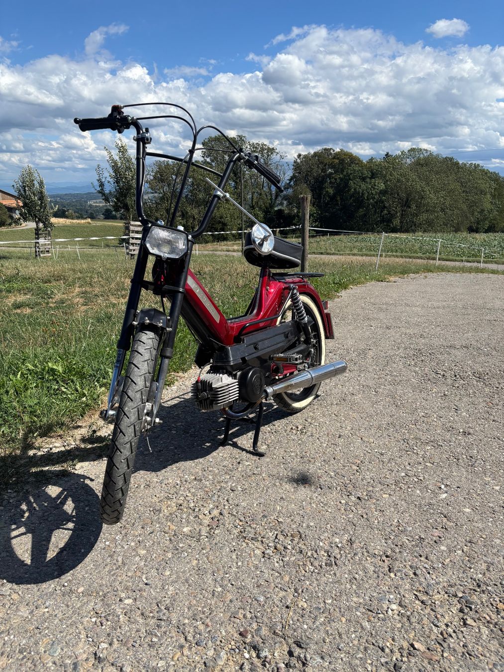 Puch Cyclomoteurs: Puch Maxi S – D'occasion à Berg TG par mar_c7cd