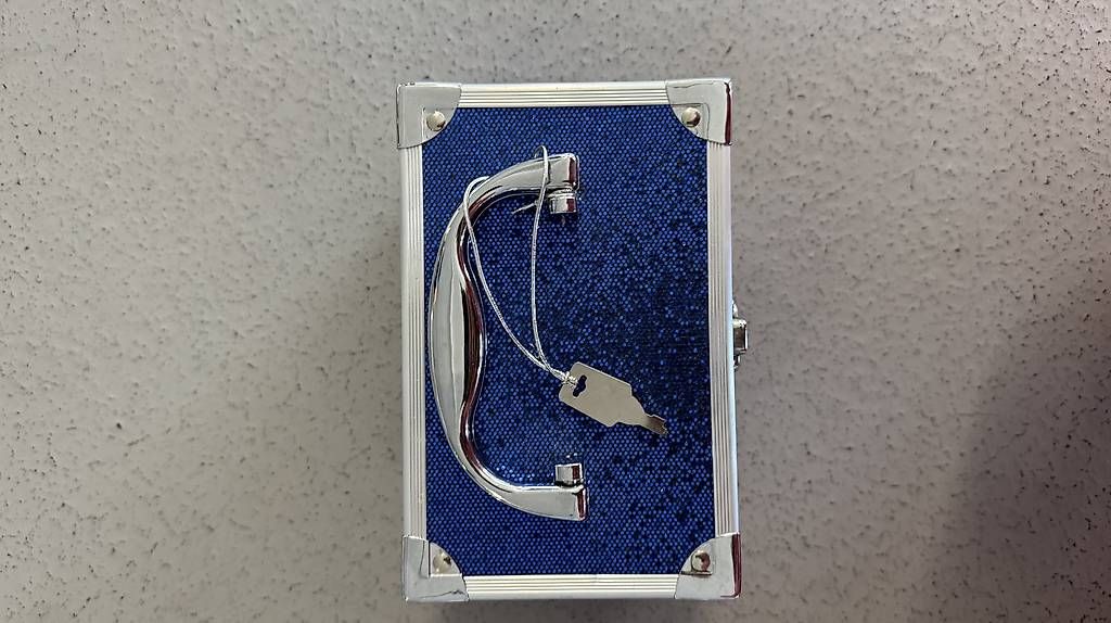 Casse di trasporto: Blaue Glitzerbox mit Schloss – Usato da Schlieren venduto da _lgv 2