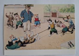 AK Katzen Katzenkarte Nr. 230