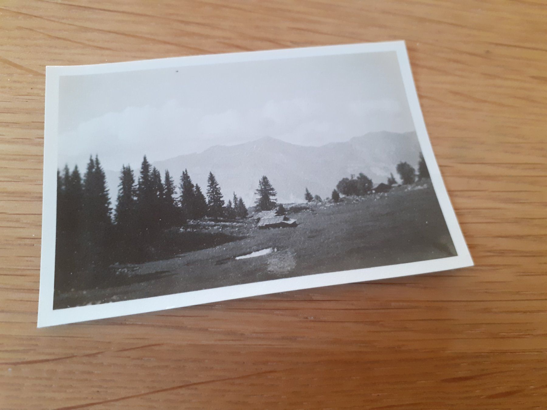 Foto & Immagini: SCHWINGPLATZ auf AXALP - 1932 - BRIENZ – Usato da Winterthur venduto da Ornyx7