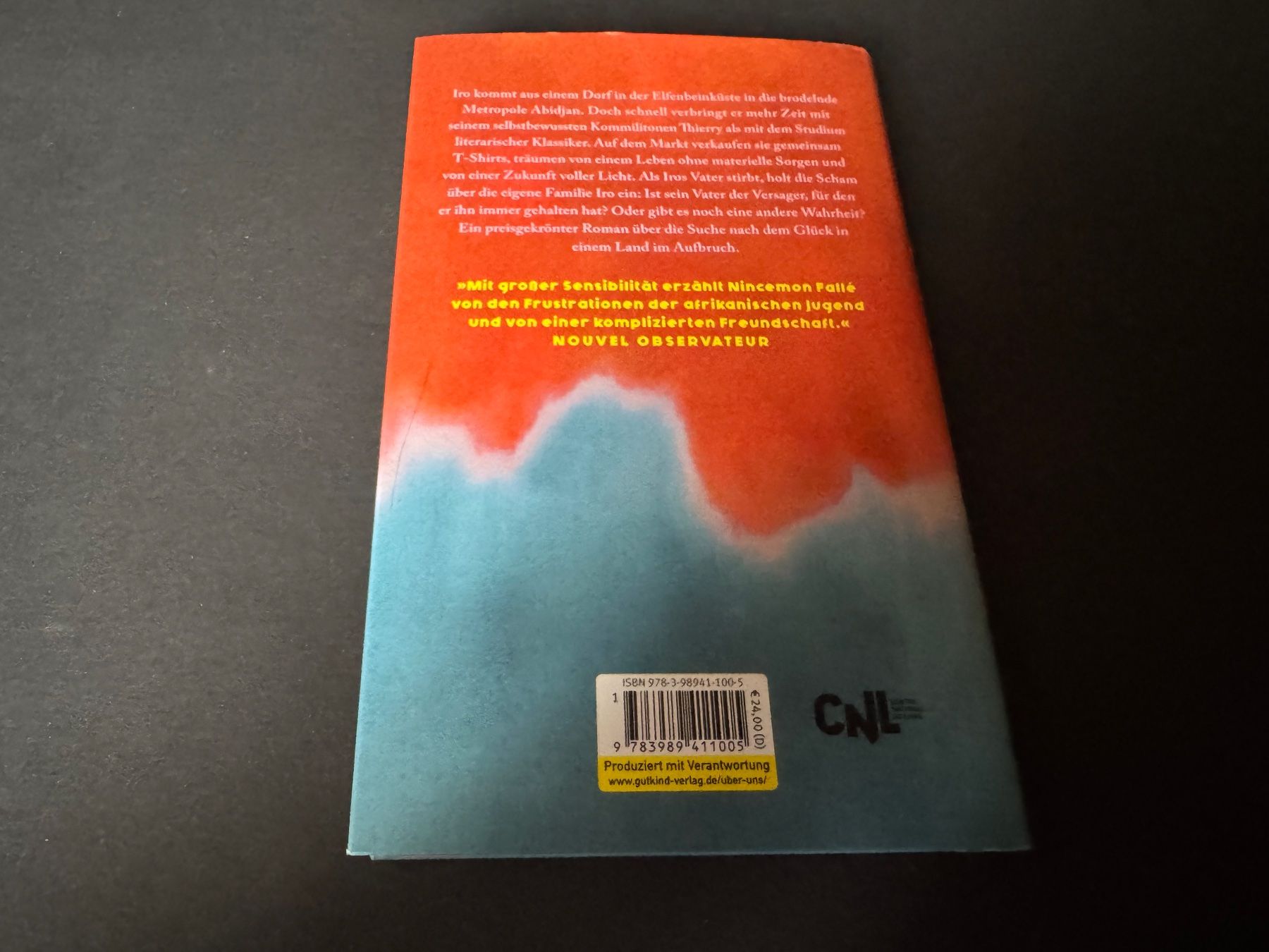Livres: DIESE GLÜHENDEN SONNEN – Neuf (Voir description) à Hägendorf par bri_v995 1