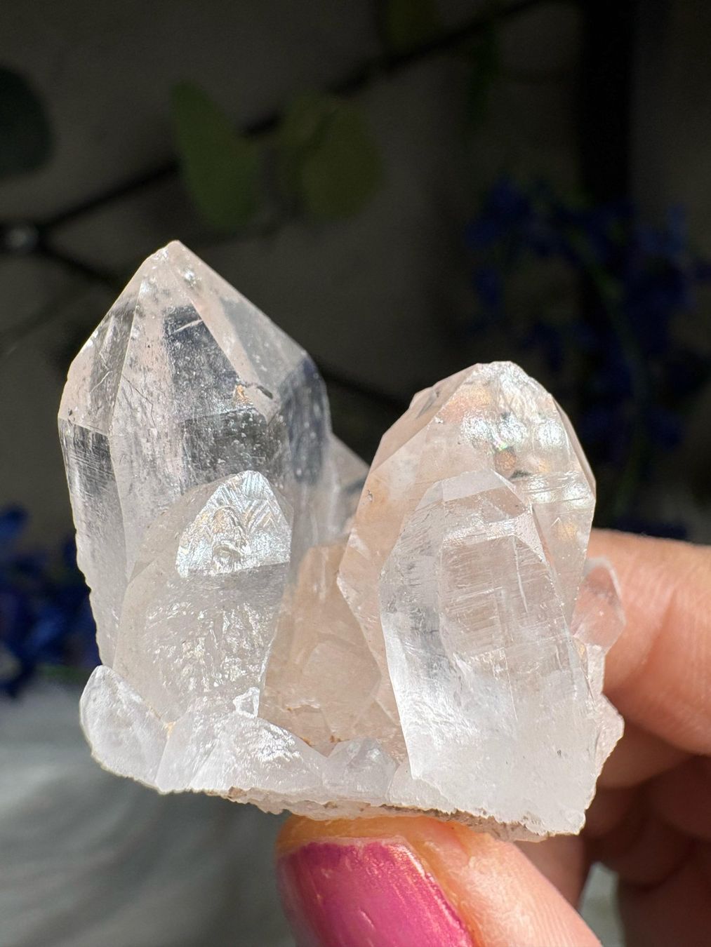 Minerali & Pietre curative: Himalaya-Quarz-Cluster – Nuovo (secondo la descrizione) da Neuheim venduto da m.hald 7