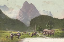Rosenlaui   BE   -   Alpenweide    um  1 9 0 9