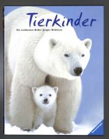 TIERKINDER 🐻‍❄️ Die schönsten Bilder junger Wildtiere - NEU