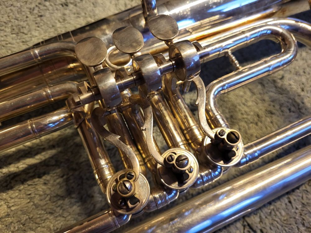 AltHorn (EsHorn) Kaufen auf Ricardo