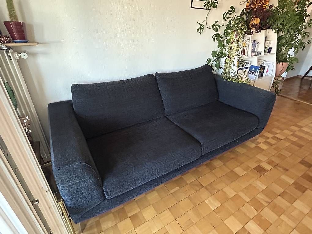 Boconcept Divani: Canapé de marque Boconcept – Usato da Lausanne venduto da Christellecou 2